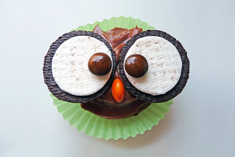 Fotodesign, Food-Photographie, Eulen-Muffin, Muffin, Jena, Thüringen